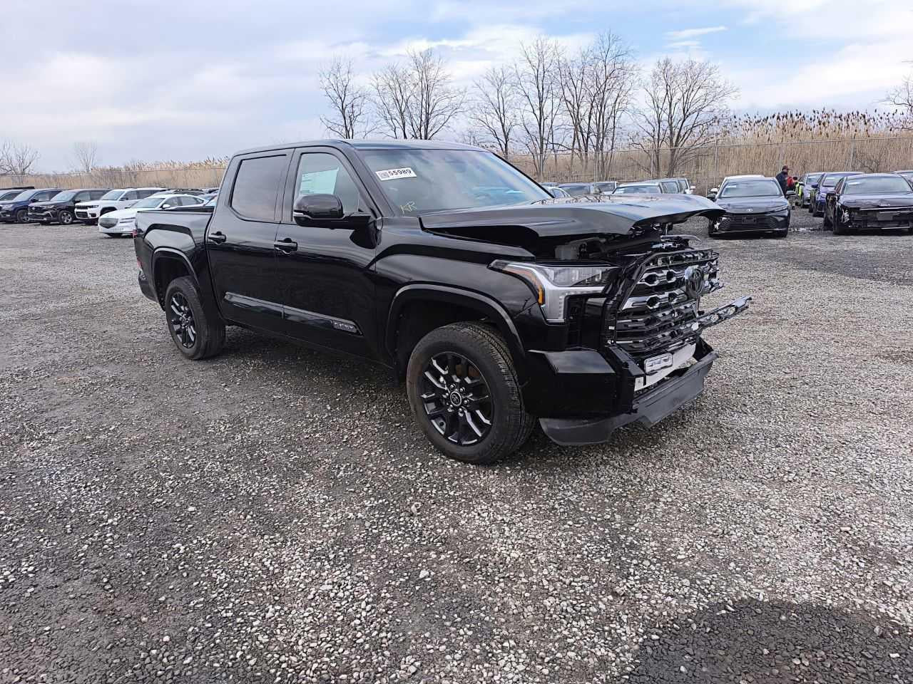 2023 TOYOTA TUNDRA CREWMAX PLATINUM VIN:5TFNA5DB8PX127429