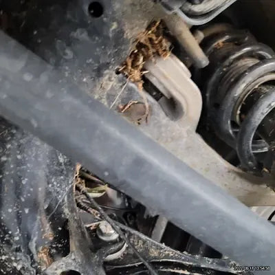 2021 BMW X4 M NONE VIN: