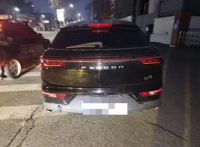 2020 BMW iX LVZA53PA4LCB02871 VIN:LVZA53PA4LCB02871