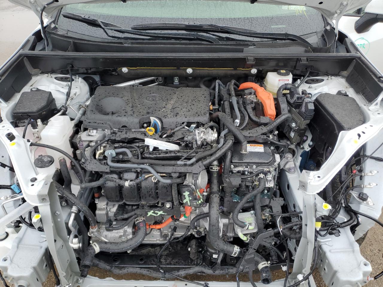 2024 TOYOTA RAV4 SE VIN:JTM16RFV7RJ057457