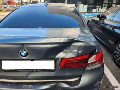 2019 BMW 520 WBAJF510XKBJ09939 VIN:WBAJF510XKBJ09939