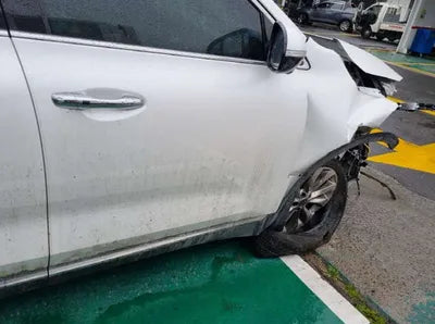 2019 Kia Sorento KNAPS81BDLA636099 VIN:KNAPS81BDLA636099