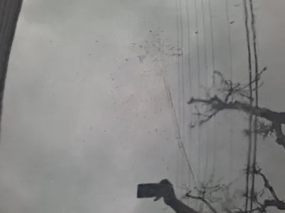 2015 Mercedes-Benz E 220 VIN: