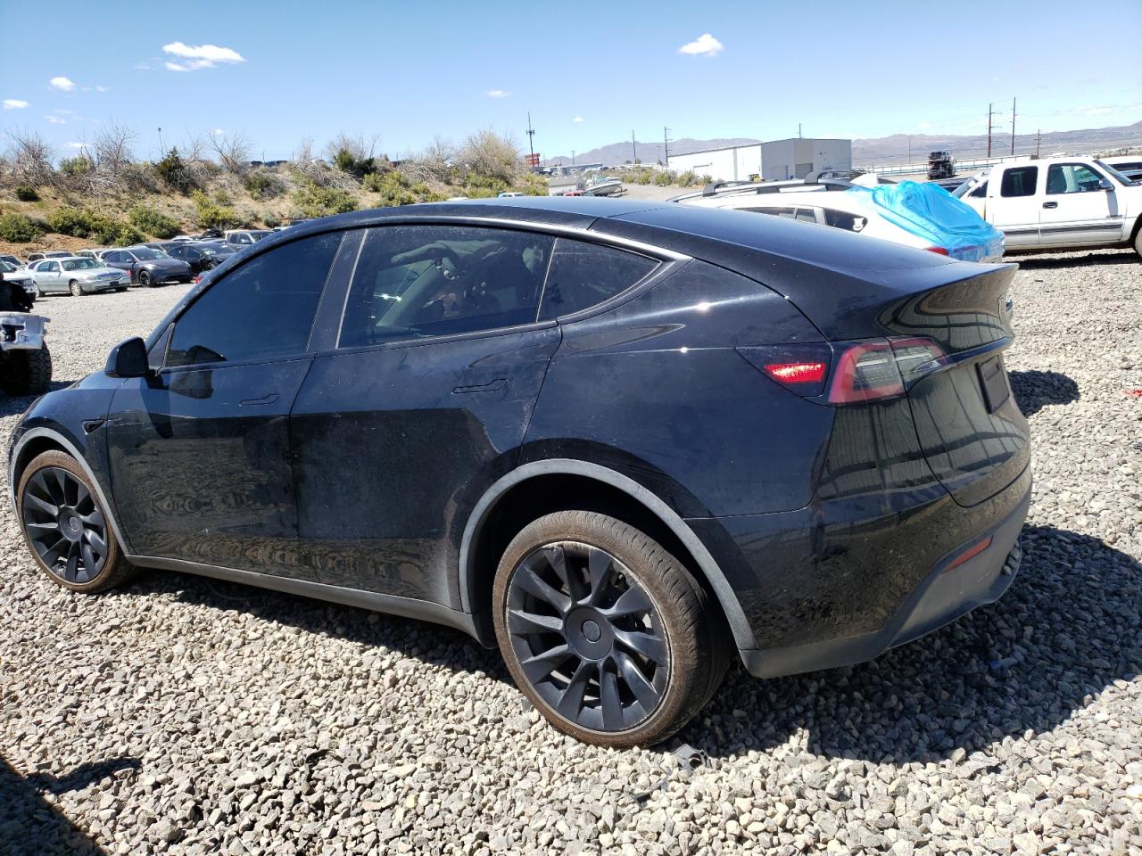 2023 TESLA MODEL Y  VIN:7SAYGDEE5PA107275