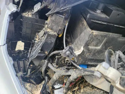 2016 Hyundai Santa FE KMHSW81UBGU673117 VIN:KMHSW81UBGU673117