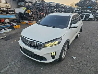 2019 Kia Sorento KNAPS81ABKA475415 VIN:KNAPS81ABKA475415