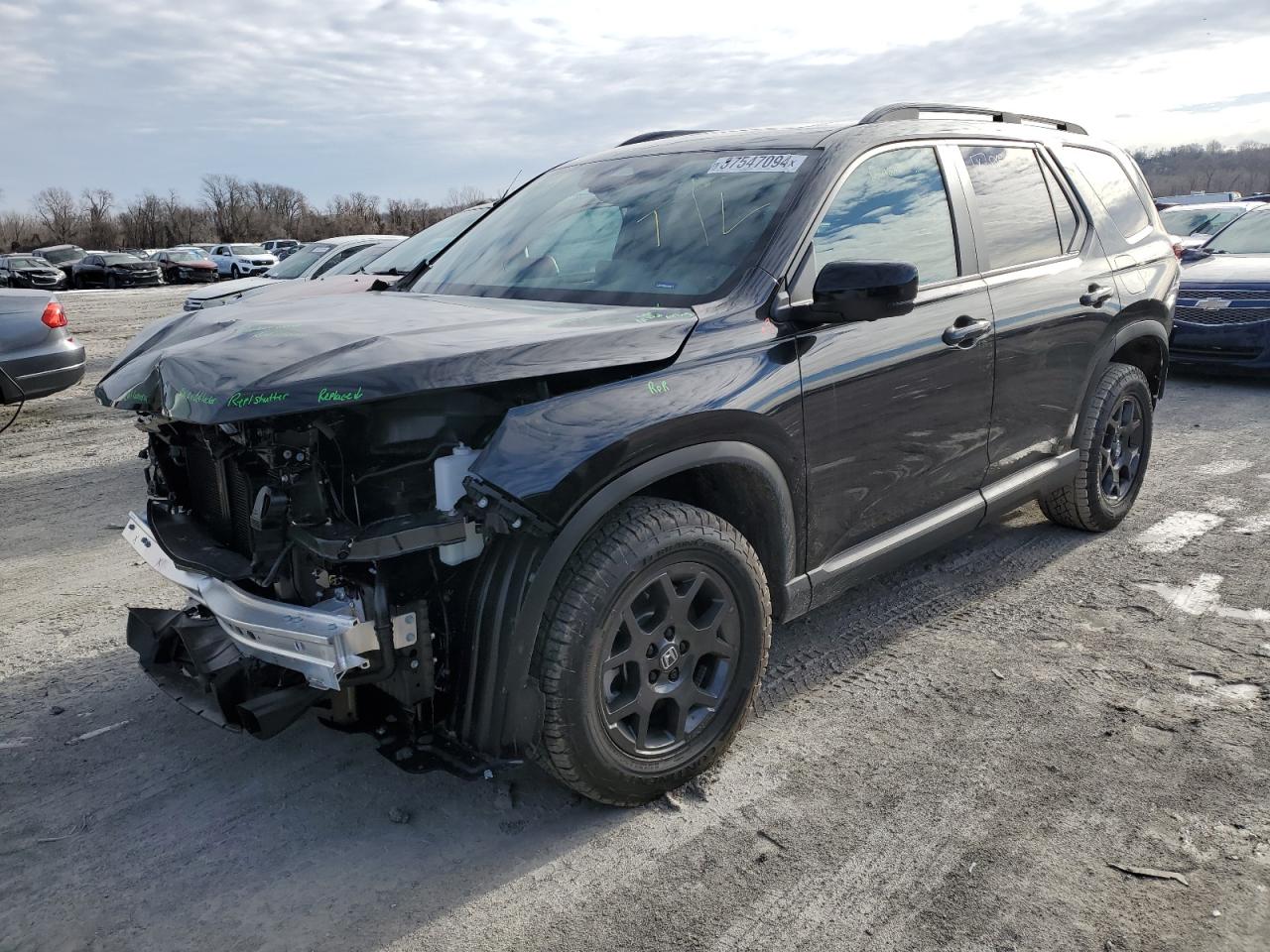 2024 HONDA PILOT TRAILSPORT VIN:5FNYG1H67RB011900