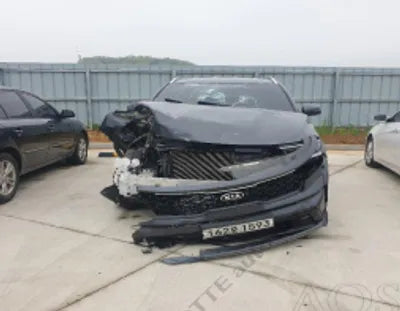 2021 Kia Sorento KNARF81BGMA076325 VIN:KNARF81BGMA076325