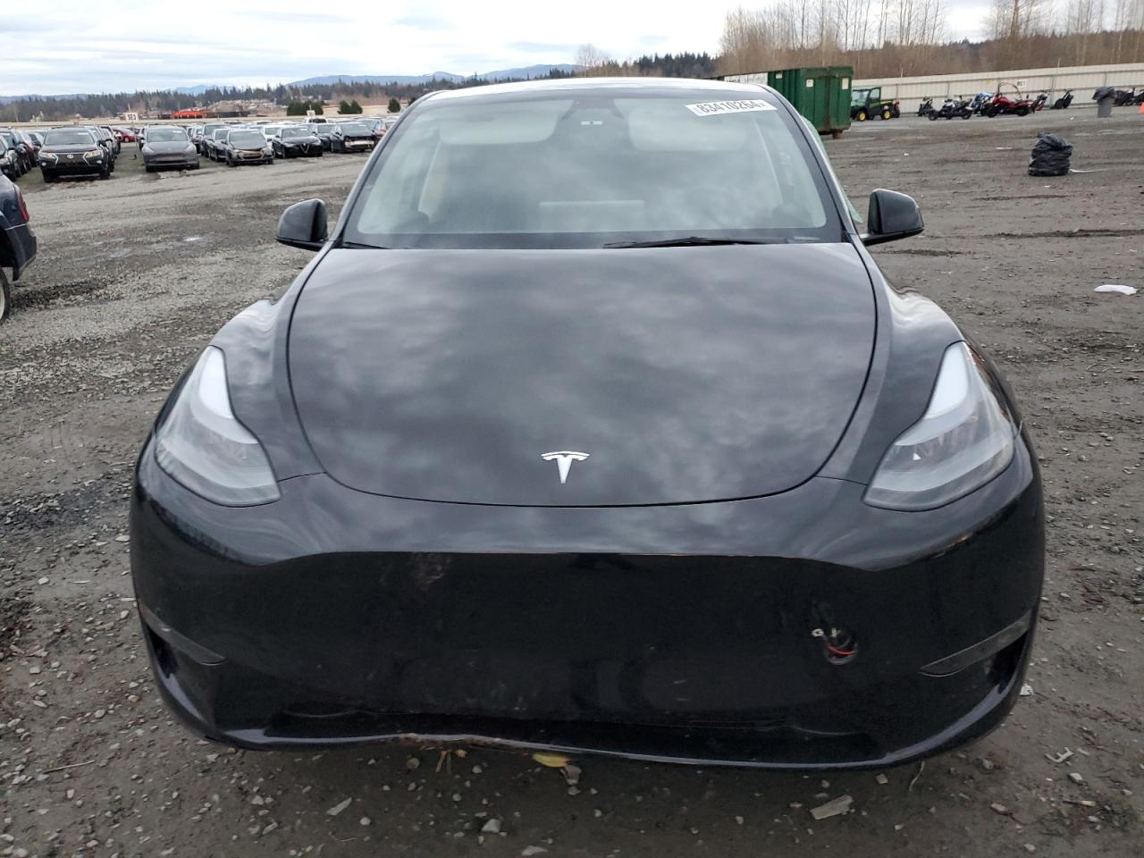 2024 TESLA MODEL Y  VIN:7SAYGAEE8RF116542