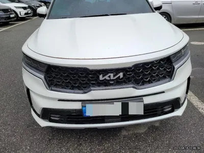 2022 Kia Sorento KNARJ81FHNA165991 VIN:KNARJ81FHNA165991