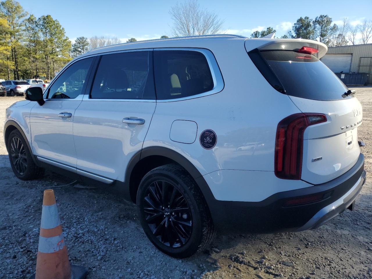 2022 KIA TELLURIDE SX VIN:5XYP5DHC0NG309099