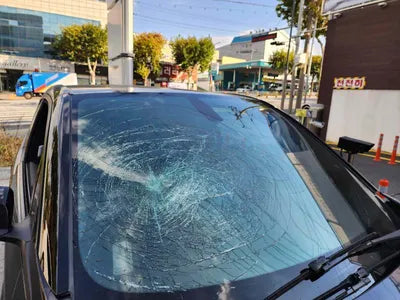 2019 BMW 120 WBY8P2106K7D71264 VIN:WBY8P2106K7D71264