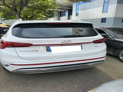 2020 Hyundai Santa FE KMHS581HGMU324857 VIN:KMHS581HGMU324857