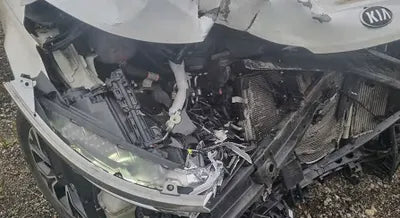 2021 Kia Carnival KNANB81BBMS026208 VIN:KNANB81BBMS026208