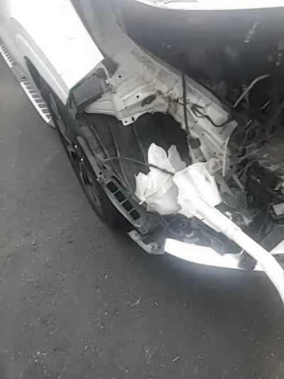 2021 Kia Carnival KNANE81BBMS067503 VIN:KNANE81BBMS067503
