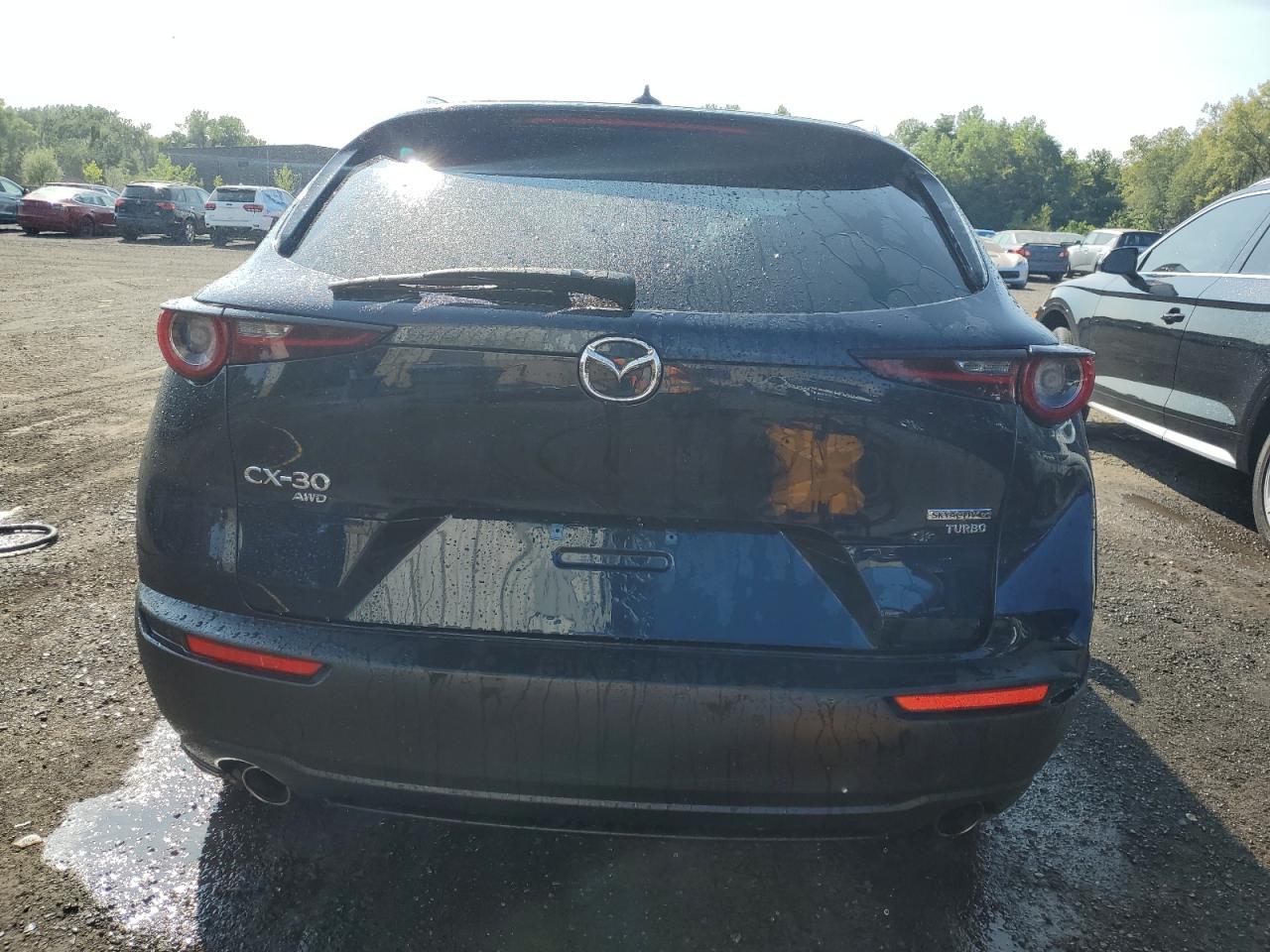 2023 MAZDA CX-30 PREMIUM PLUS VIN:3MVDMBEY8PM564257