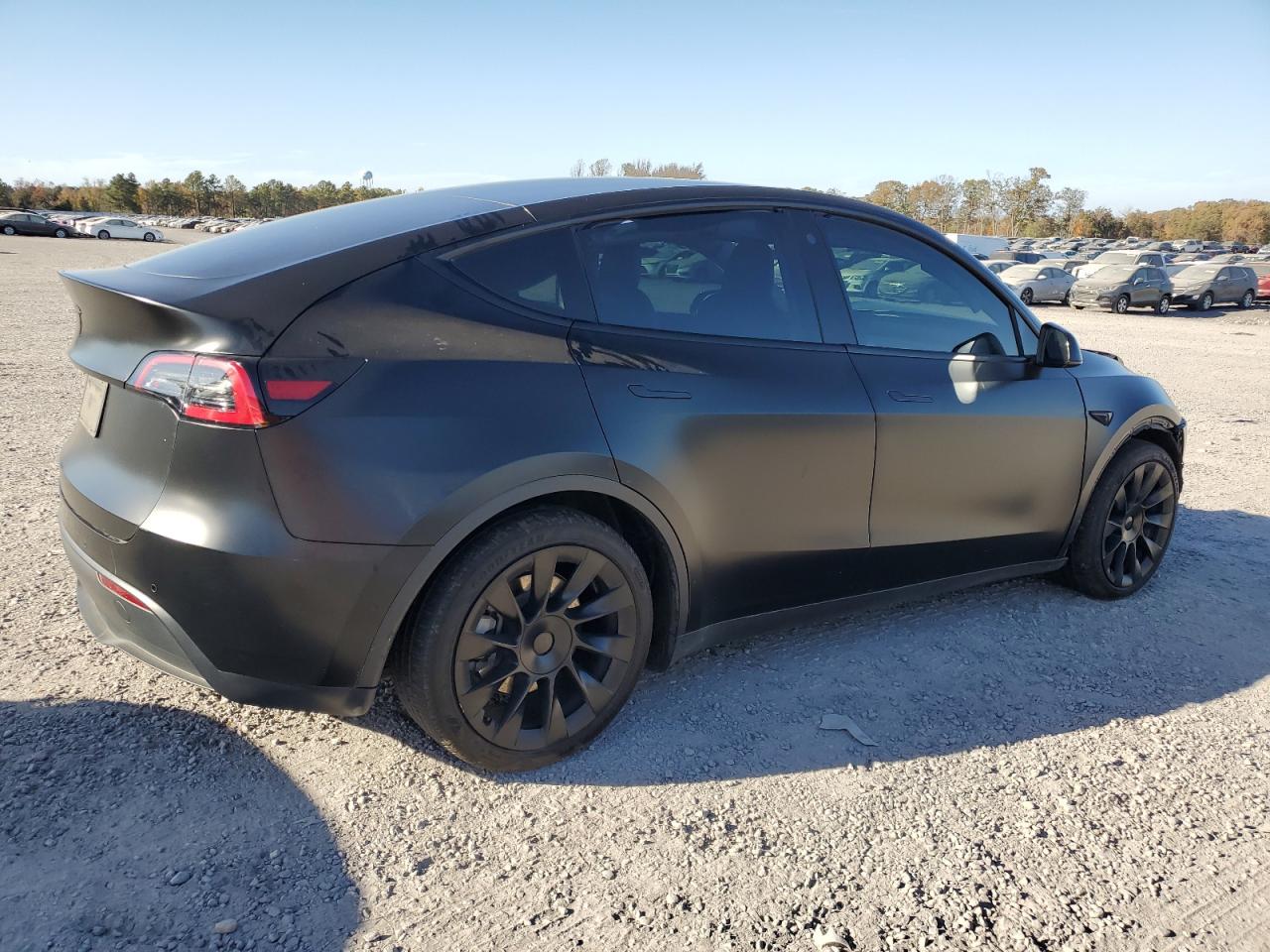 2022 TESLA MODEL Y  VIN:7SAYGAEE2NF337516