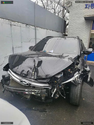 2017 Hyundai Santa FE KMHSW81UBJU848923 VIN:KMHSW81UBJU848923