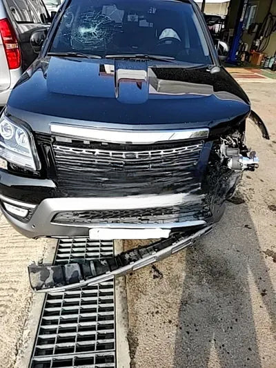 2019 Kia Mohave KNAKM814DKA193469 VIN:KNAKM814DKA193469