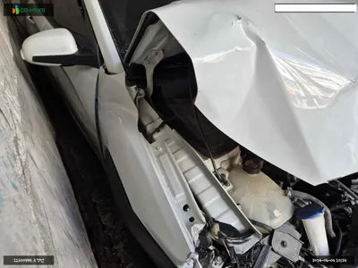 2019 Hyundai Kona KMHK4815HKU300895 VIN:KMHK4815HKU300895