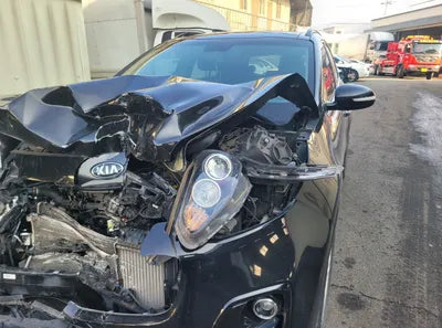 2017 Kia Sportage KNAPM813DHK239124 VIN:KNAPM813DHK239124