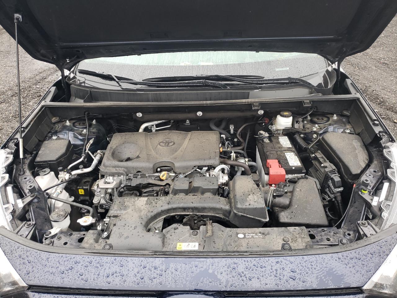 2023 TOYOTA RAV4 XLE VIN:2T3P1RFV5PW340219