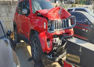 2019 Jeep Renegade 1C4BU0000KPK40792 VIN:1C4BU0000KPK40792