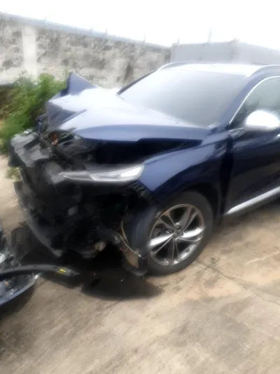 2020 Hyundai Santa FE KMHS581ABLU203541 VIN:KMHS581ABLU203541