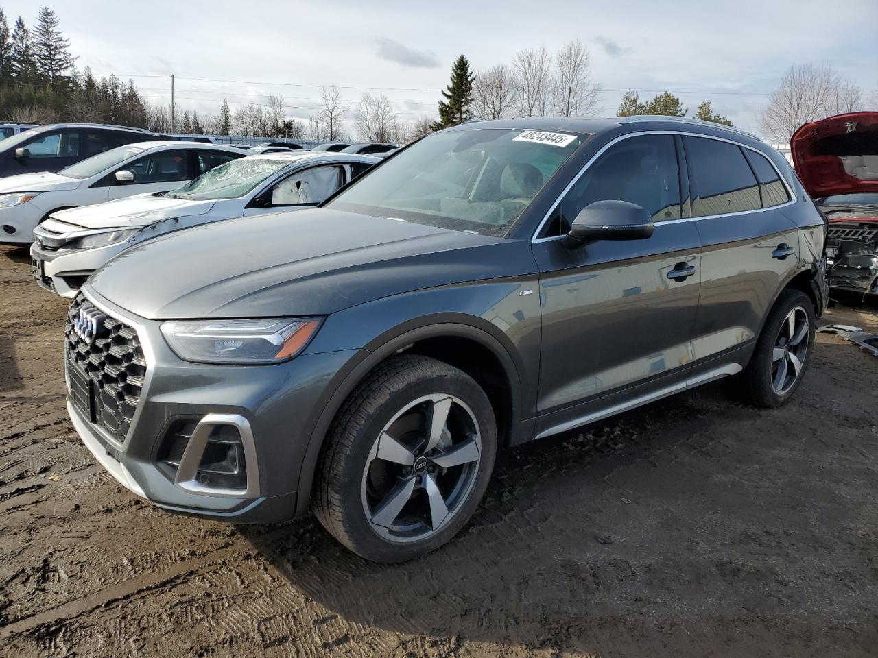 2024 AUDI Q5 PREMIUM PLUS 45 VIN:WA1EAAFYXR2119496