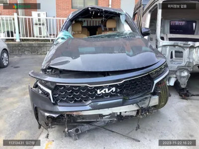 2022 Kia Sorento KNARJ81BHPA183351 VIN:KNARJ81BHPA183351