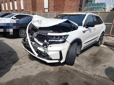 2021 Kia Sorento KNARF81GDMA045087 VIN:KNARF81GDMA045087