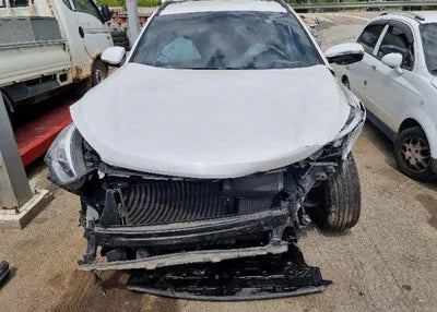 2015 Hyundai Santa FE KMHSW81UDFU409701 VIN:KMHSW81UDFU409701