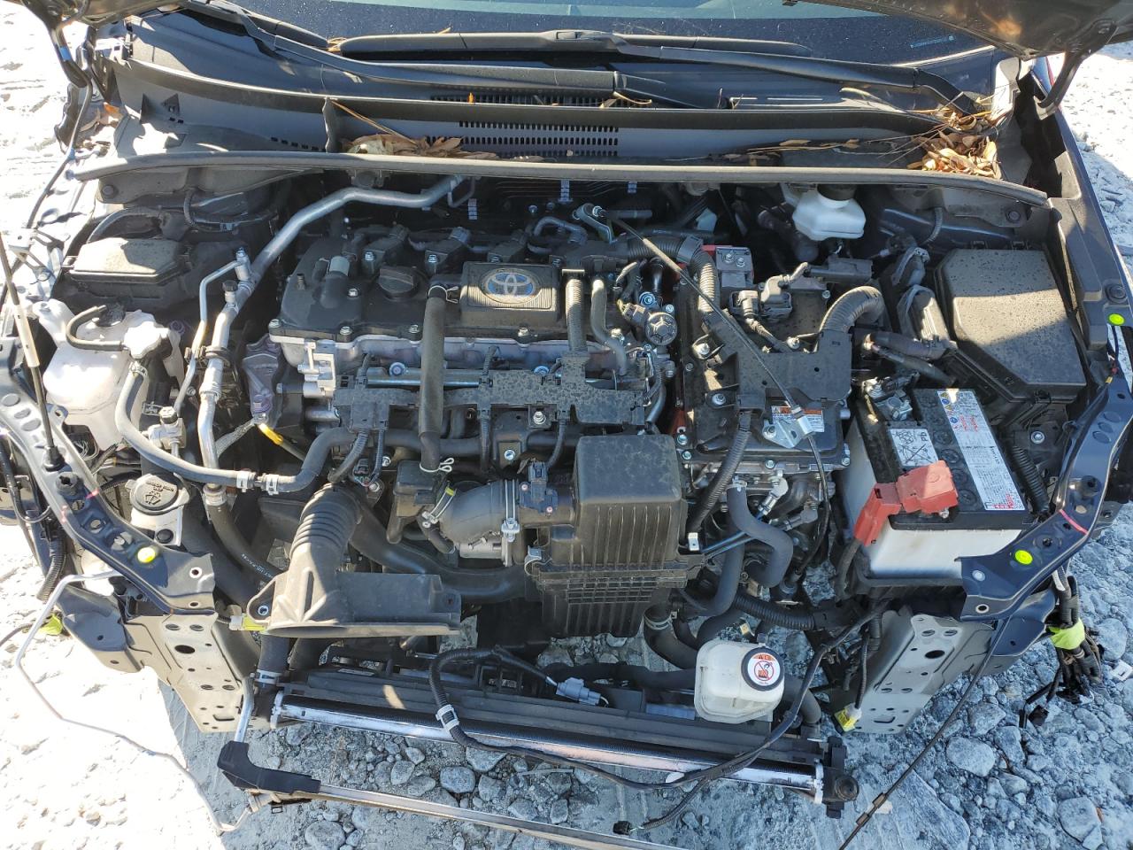 2023 TOYOTA COROLLA LE VIN:JTDBCMFEXP3009131