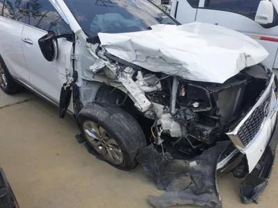 2019 Kia Sorento KNAPS81ABKA545542 VIN:KNAPS81ABKA545542