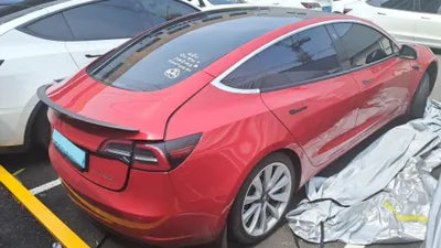 2020 Tesla Model 3 5YJ3E1EB6LF695539 VIN:5YJ3E1EB6LF695539