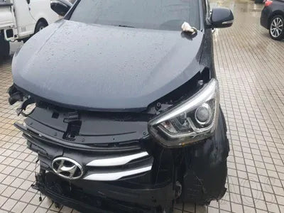 2017 Hyundai Santa FE KMHSW81UBHU732859 VIN:KMHSW81UBHU732859