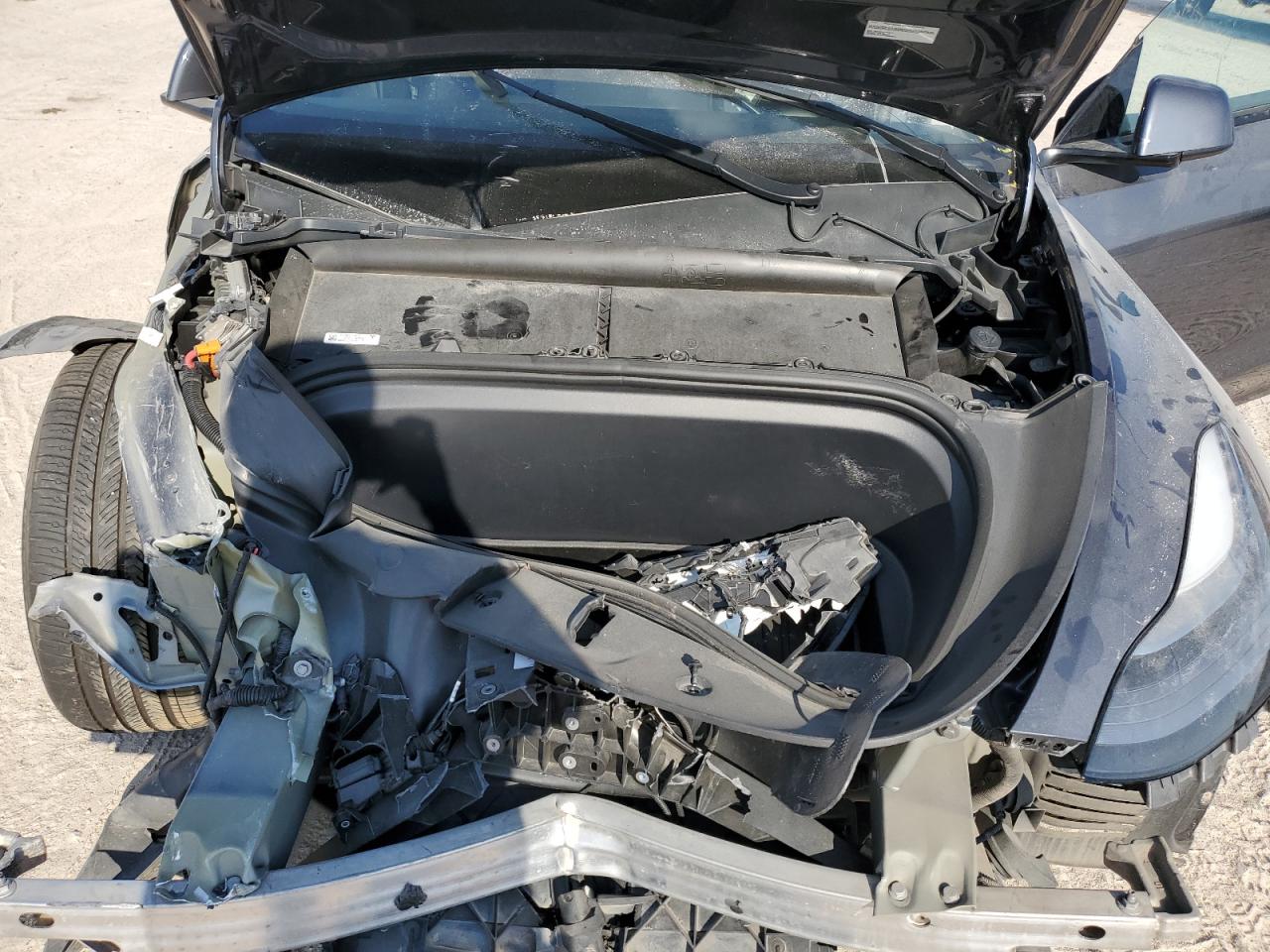 2022 TESLA MODEL Y  VIN:7SAYGDEF4NF448112