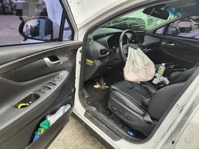 2019 Hyundai Santa FE KMHS381ADKU168779 VIN:KMHS381ADKU168779