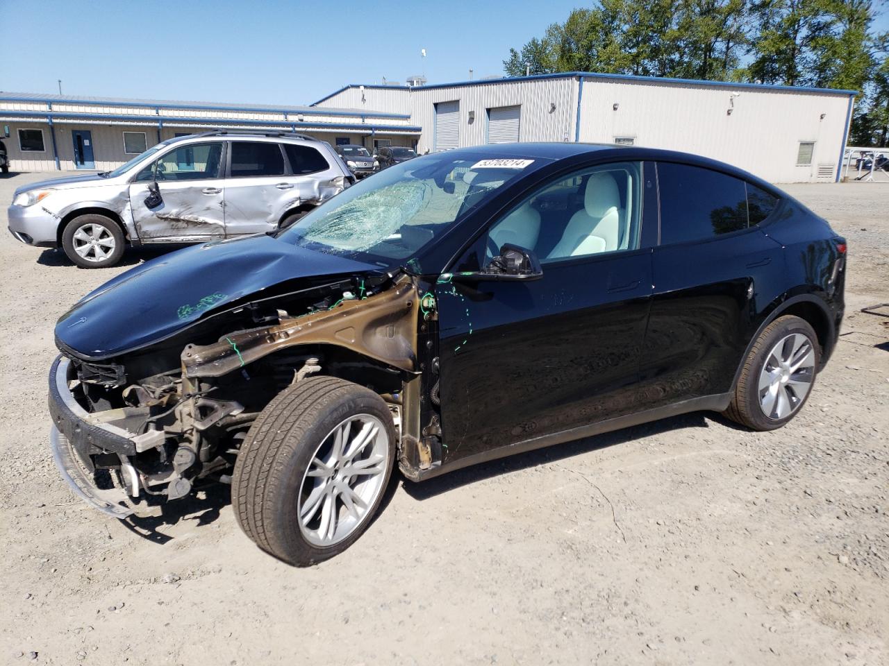 2023 TESLA MODEL Y  VIN:7SAYGDEE6PF936665