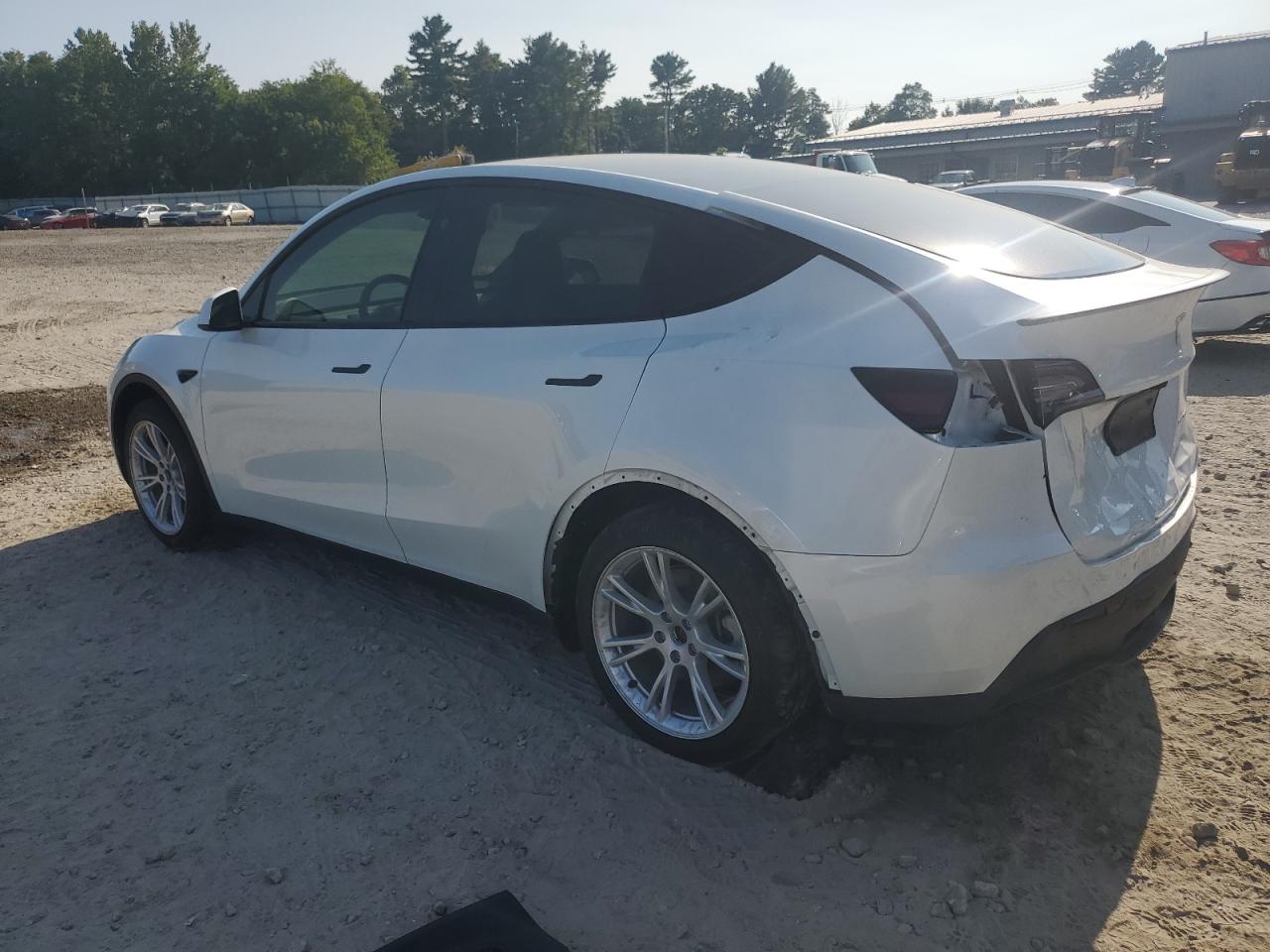 2023 TESLA MODEL Y  VIN:7SAYGDEE1PA145859