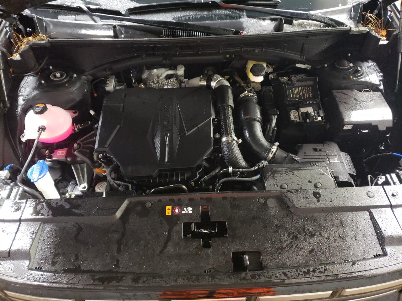 2024 HYUNDAI SANTA FE SE VIN:4T1BF1FK1EU865755