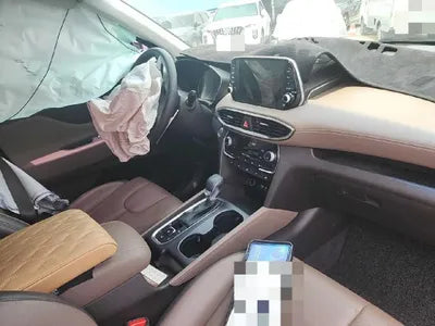 2019 Hyundai Santa FE KMHS381BBKU147702 VIN:KMHS381BBKU147702