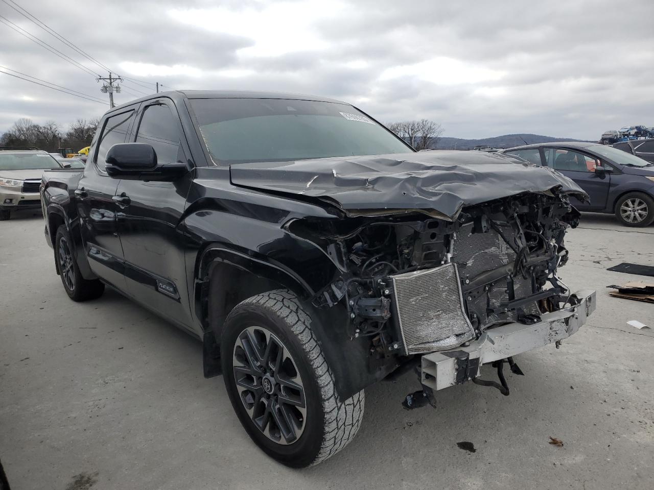 2023 TOYOTA TUNDRA CREWMAX PLATINUM VIN:5TFNA5DB1PX087193