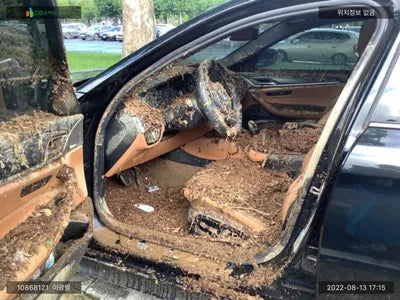 2021 BMW 520 WBA11BH01NCH61451 VIN:WBA11BH01NCH61451