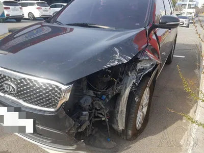 2015 Kia Sorento KNAPS81ABGA127564 VIN:KNAPS81ABGA127564