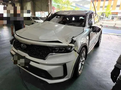 2020 Kia Sorento KNARK81BGMA002936 VIN:KNARK81BGMA002936