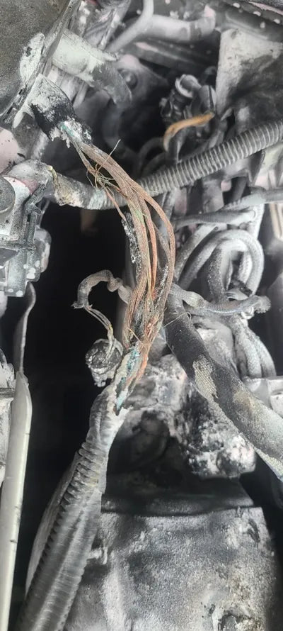 2015 BMW 740 WBAYB0107FGL96825 VIN:WBAYB0107FGL96825