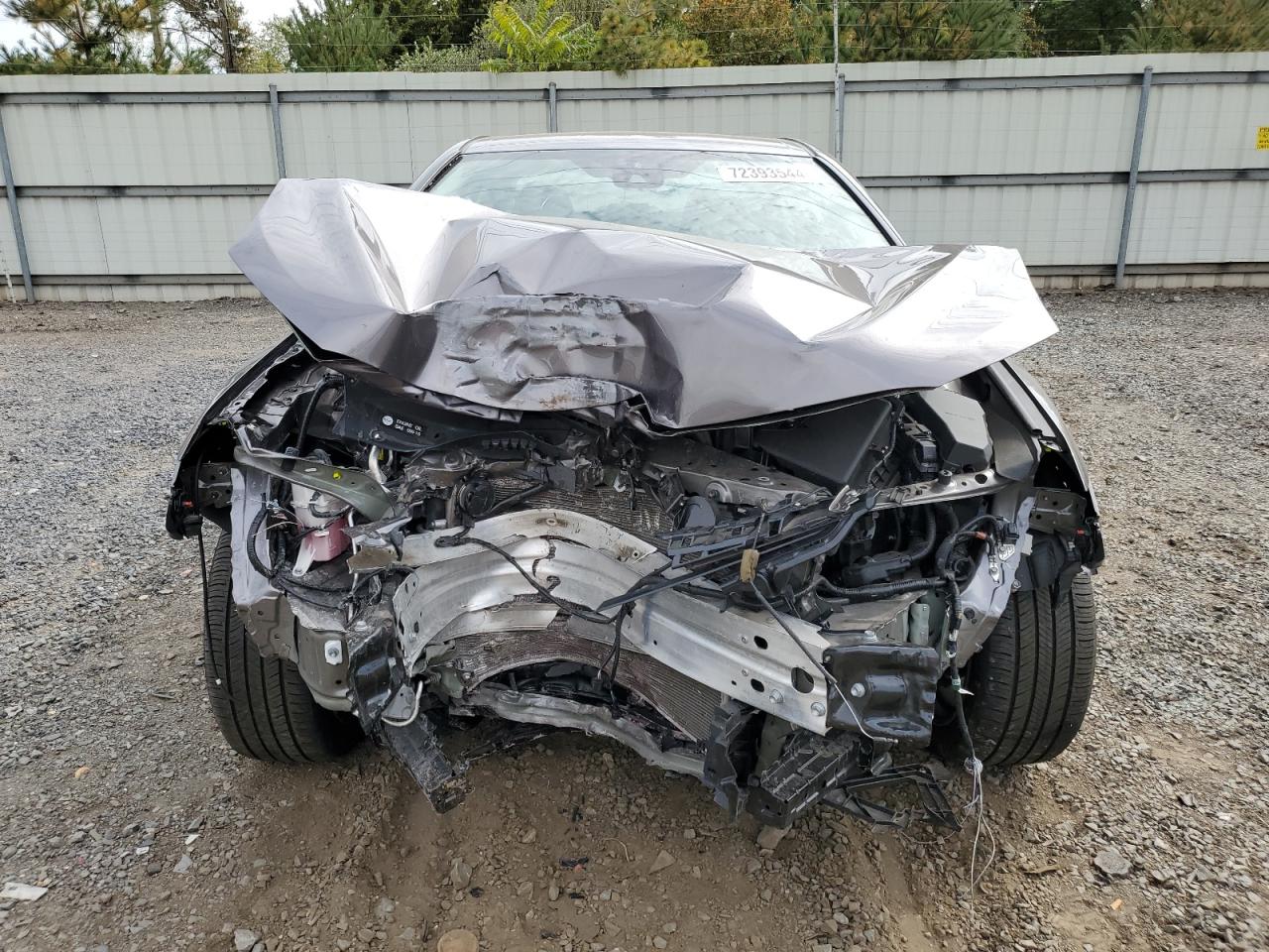 2023 TOYOTA CAMRY SE NIGHT SHADE VIN:4T1T11BK1PU100041