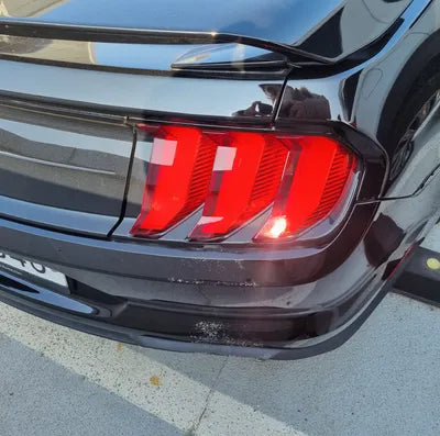 2019 Ford Mustang 1FA6P8TH3K5165641 VIN:1FA6P8TH3K5165641