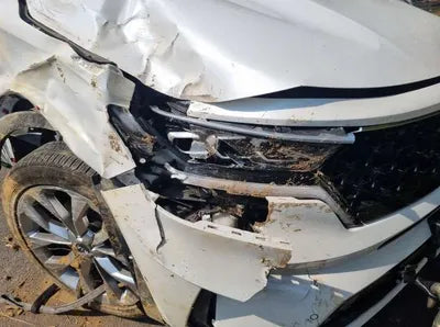 2020 Kia Sorento KNARK81BGMA002936 VIN:KNARK81BGMA002936